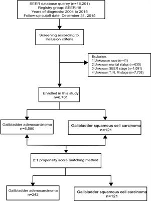 Clinical Characteristics and Outcome Between Gallbladder Squamous Cell Carcinoma and Adenocarcinoma: A Propensity Matched Analysis Based on the Surveillance, Epidemiology, and End Results Database